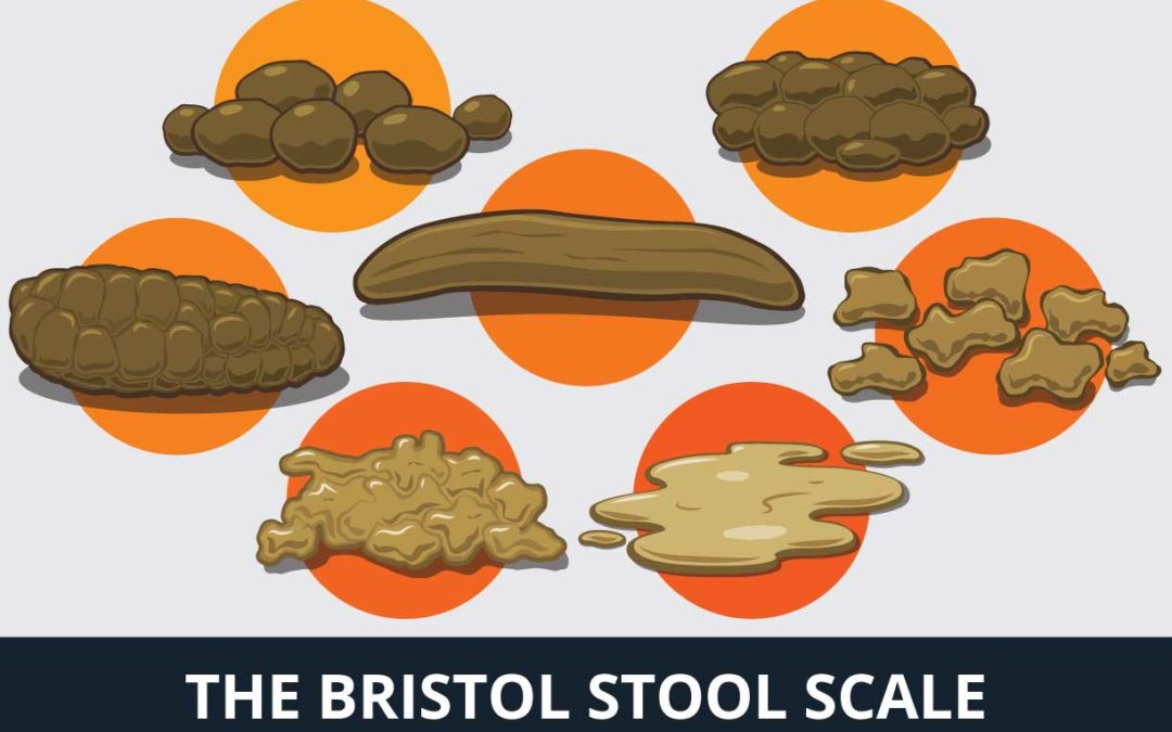 CAVU Bristol Stool Chart